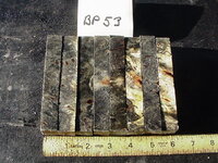 bp53a.JPG
