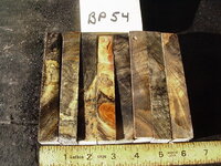 bp54a.JPG