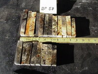 bp58a.JPG