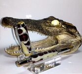 UL GATOR.jpg
