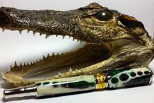 MG GATOR.jpg