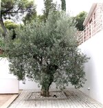 DSCN4283.jpg