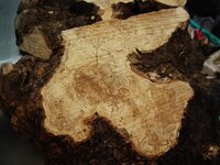 timber preparation 1502.jpg
