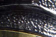 IMG_0275.jpg