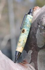 Blue Box Elder 1.jpg