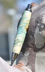 Blue Box Elder 2.jpg