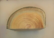 mysterywood2.jpg