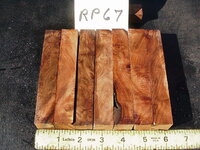 rp67a.JPG rp67a.JPG
