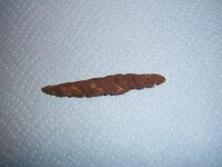 rolo2.JPG