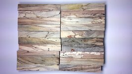 spalted blanks.jpg