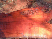 redgum slab1.jpg