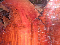 redgum slab2.jpg