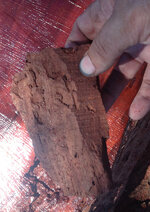 redgum slab coal2.jpg