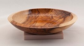 Copper Beech Dish 01.jpg