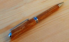 Pen J.JPG