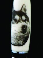 Husky Pen Very Close Up.jpg