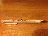 Pen S1.jpg