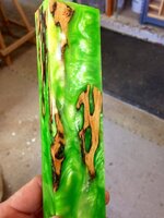 Incredible Hulk in Cholla.jpg