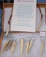 DeerAntlerPoints.jpg DeerAntlerPoints.jpg