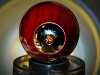 egginside.jpg