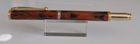 Tiger Myrtle - Closed.jpg