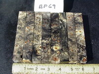 bp69a.JPG bp69a.JPG