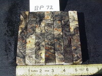 bp72a.JPG bp72a.JPG