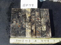bp73a.JPG bp73a.JPG