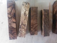 PecanMesquite 019.jpg