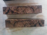 PecanMesquite 020.jpg