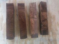 PecanMesquite 022.jpg