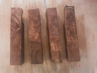 PecanMesquite 024.jpg