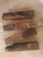 PecanMesquite 025.jpg