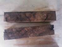 PecanMesquite 021.jpg