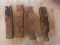 PecanMesquite 023.jpg