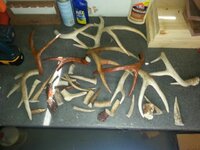 20140311_105024.jpg