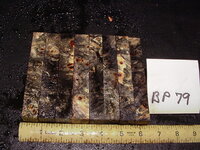 bp79a.JPG bp79a.JPG