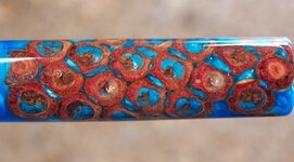 Bottle Brush seeds Resifills-2.jpg