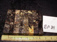 bp81a.JPG bp81a.JPG