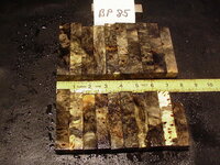 bp85a.JPG bp85a.JPG