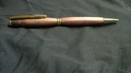 WP_20140323_020.jpg