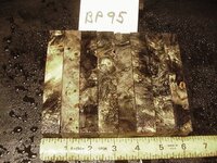 bp95a.JPG bp95a.JPG