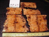 mp67a.JPG mp67a.JPG