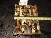 bp88a.JPG bp88a.JPG