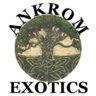 AnkromExotics.com