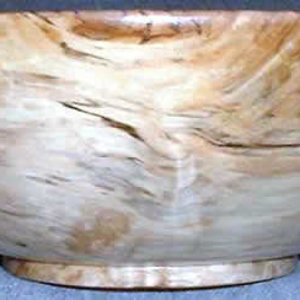 Spalted Maple crotch
