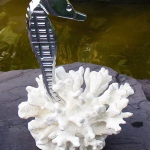 Seahorse 1