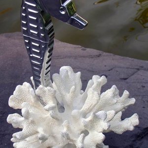 Seahorse 2