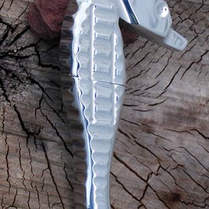 seahorse 6