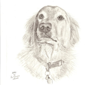 Abby Original